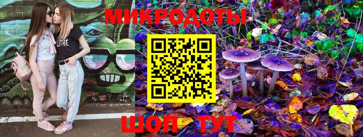 Галлюциногенные грибы Psilocybe  Вход с VPN  Чистополь 